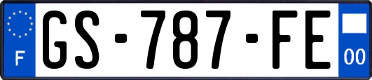 GS-787-FE