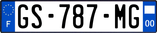 GS-787-MG