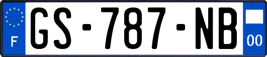 GS-787-NB