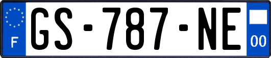 GS-787-NE