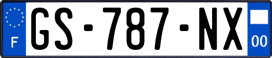 GS-787-NX