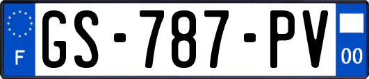 GS-787-PV
