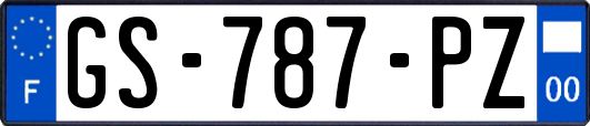 GS-787-PZ