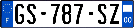 GS-787-SZ