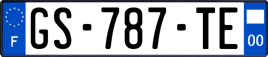 GS-787-TE