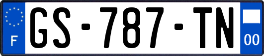 GS-787-TN