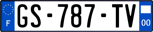GS-787-TV