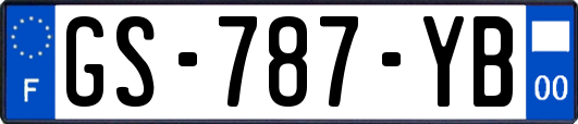 GS-787-YB
