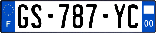 GS-787-YC