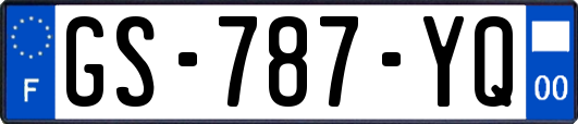 GS-787-YQ
