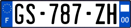 GS-787-ZH
