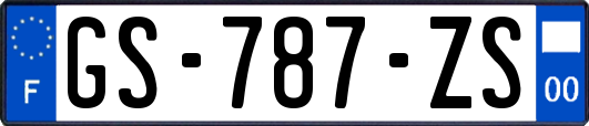 GS-787-ZS