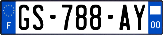 GS-788-AY