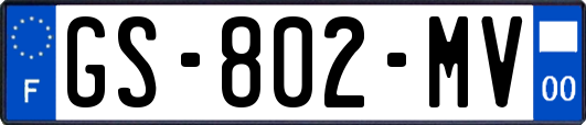 GS-802-MV