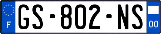 GS-802-NS