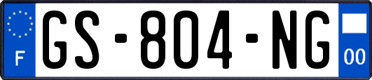 GS-804-NG