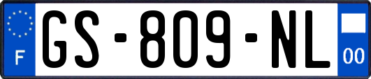 GS-809-NL