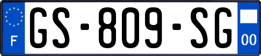 GS-809-SG