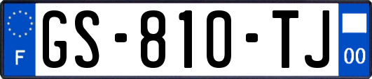 GS-810-TJ