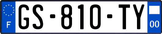 GS-810-TY