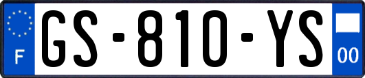 GS-810-YS