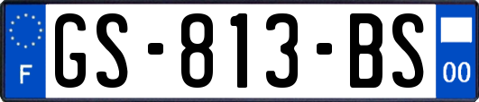 GS-813-BS