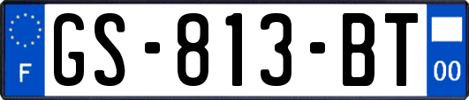 GS-813-BT