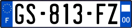 GS-813-FZ