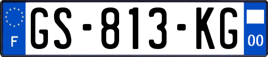 GS-813-KG