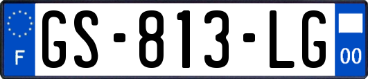GS-813-LG