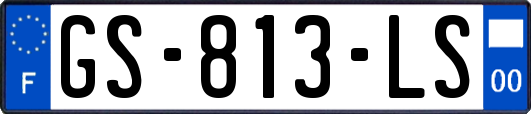 GS-813-LS