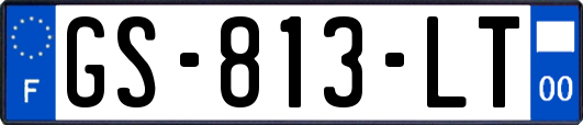GS-813-LT
