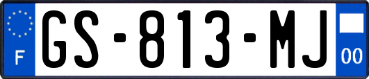 GS-813-MJ