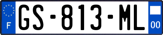 GS-813-ML