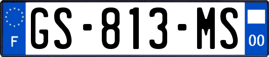 GS-813-MS