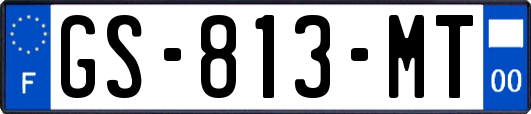 GS-813-MT
