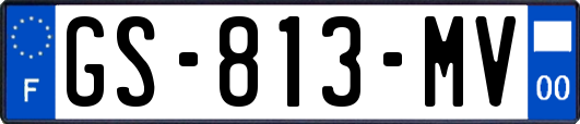 GS-813-MV