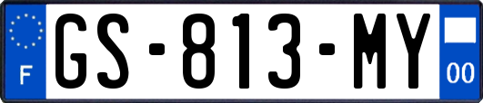GS-813-MY