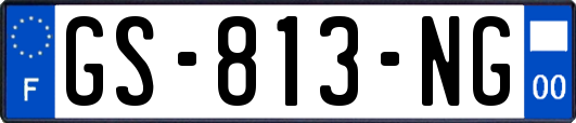 GS-813-NG