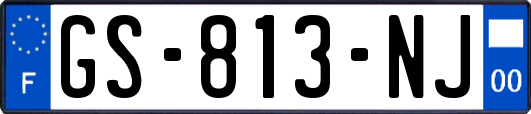 GS-813-NJ