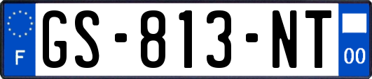 GS-813-NT