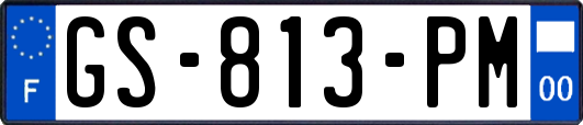 GS-813-PM