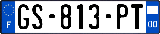 GS-813-PT