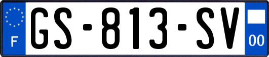 GS-813-SV