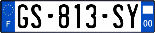 GS-813-SY