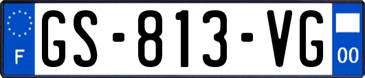 GS-813-VG