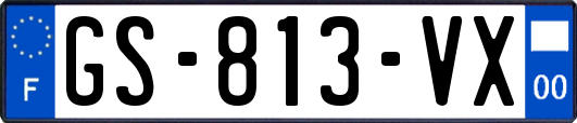 GS-813-VX