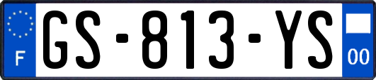 GS-813-YS