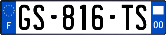 GS-816-TS