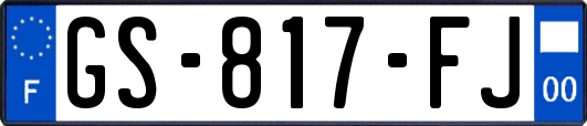 GS-817-FJ